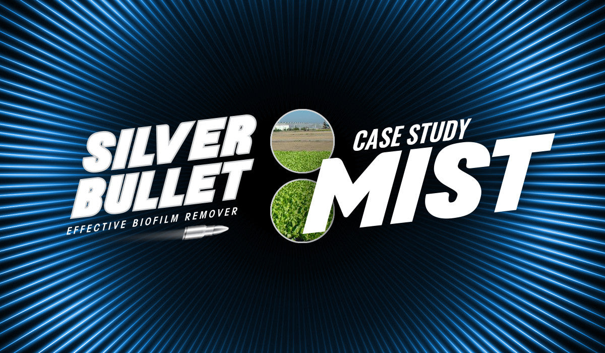 CASE STUDY: SEEDLING PRODUCTION, POLAND
